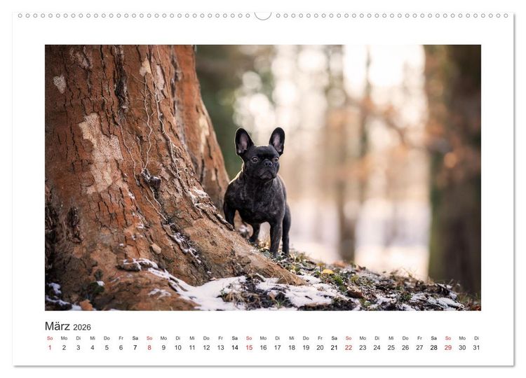 Produktbild: Herzenshunde 2026 (hochwertiger Premium Wandkalender 2026 DIN A2 quer), Kunstdruck in Hochglanz