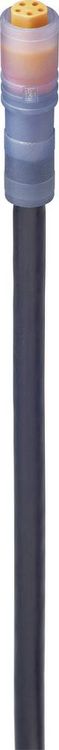 Produktbild: Lumberg Automation 934871014-1 Sensor-/Aktor-Anschlussleitung M8 Kupplung, gerade 5.00 m Polzahl Sensoren: 5 1 St.