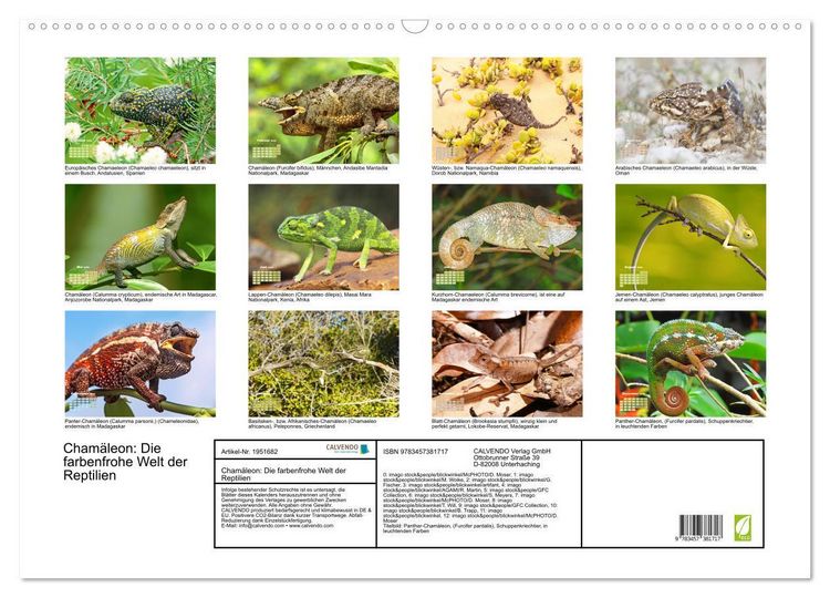 Produktbild: Cham&auml;leon: Die farbenfrohe Welt der Reptilien (Wandkalender 2026 DIN A2 quer), CALVENDO Monatskalender