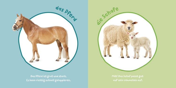 Produktbild: Baby Pixi (unkaputtbar) 183: Mein Baby-Pixi-Buggybuch: Meine ersten Tiere
