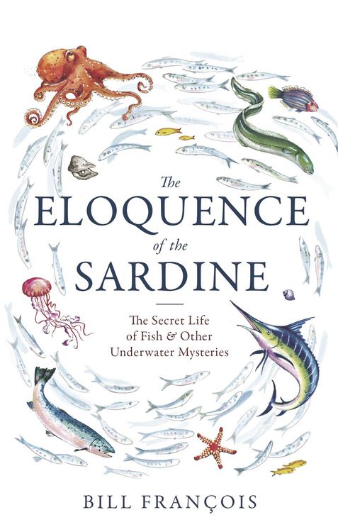 Produktbild: The Eloquence of the Sardine