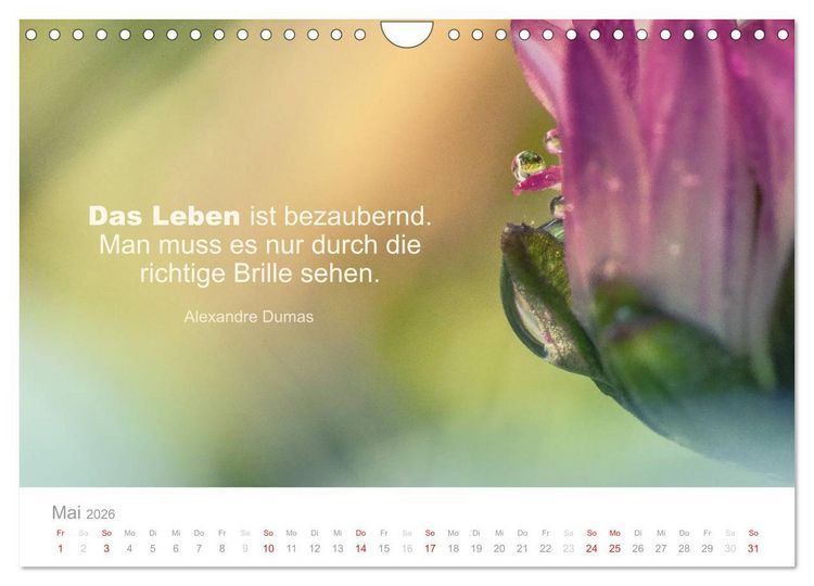 Produktbild: Zauberhafte Spr&uuml;che - Bunte Seelenbl&uuml;ten (Wandkalender 2026 DIN A4 quer), CALVENDO Monatskalender