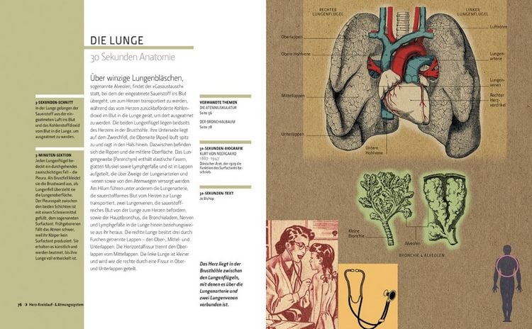 Produktbild: Anatomie in 30 Sekunden