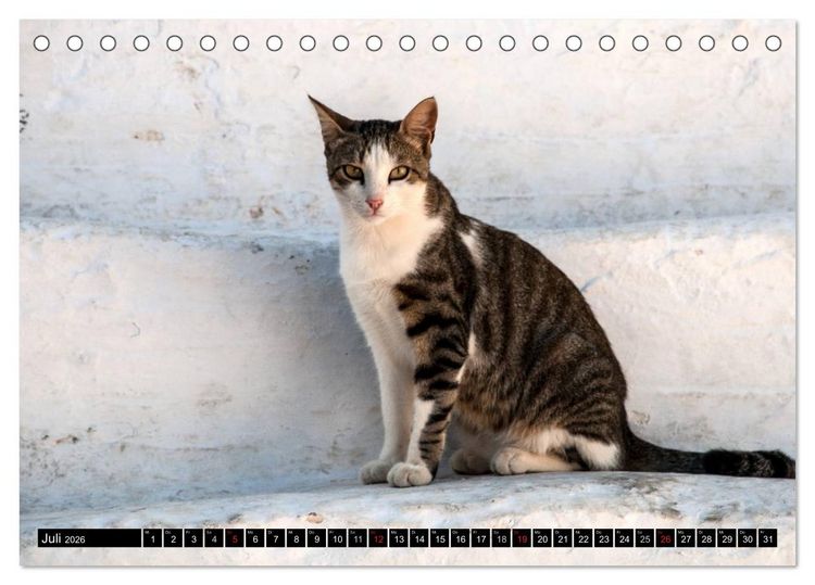Produktbild: Griechische Katzen (Tischkalender 2026 DIN A5 quer), CALVENDO Monatskalender