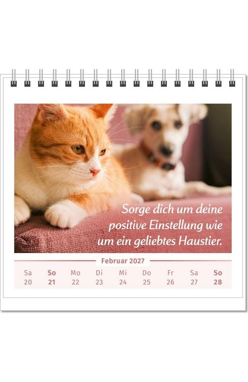 Produktbild: Der Lebensfreude-Tischkalender 2027
