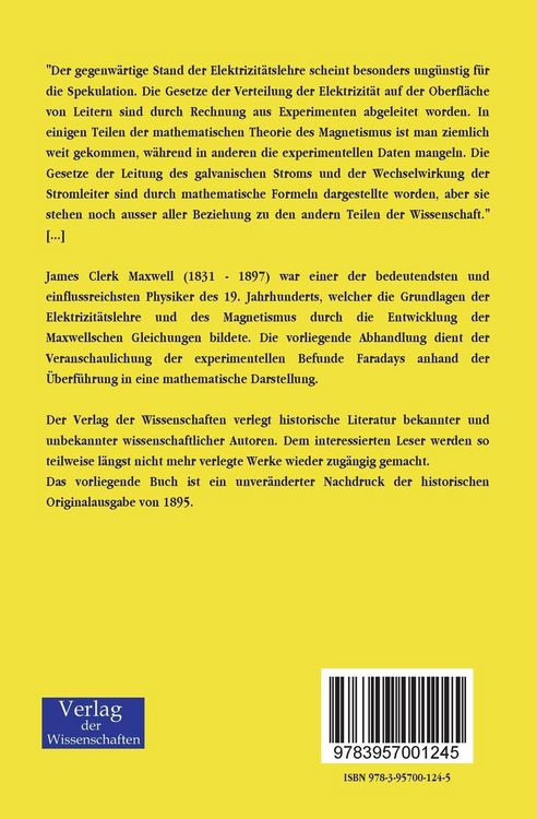 Produktbild: &Uuml;ber Faradays Kraftlinien