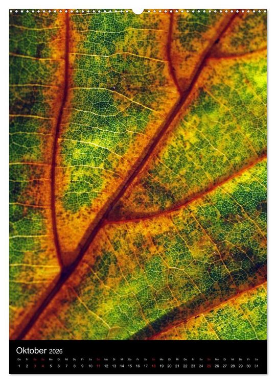 Produktbild: Kunst in der Natur (Wandkalender 2026 DIN A2 hoch), CALVENDO Monatskalender