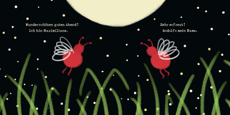 Produktbild: Zwei rote Gl&uuml;hw&uuml;rmchen. Bilderbuch