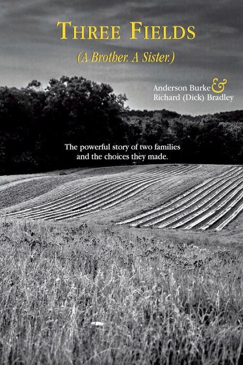 Produktbild: Three Fields (A Brother. A Sister.)