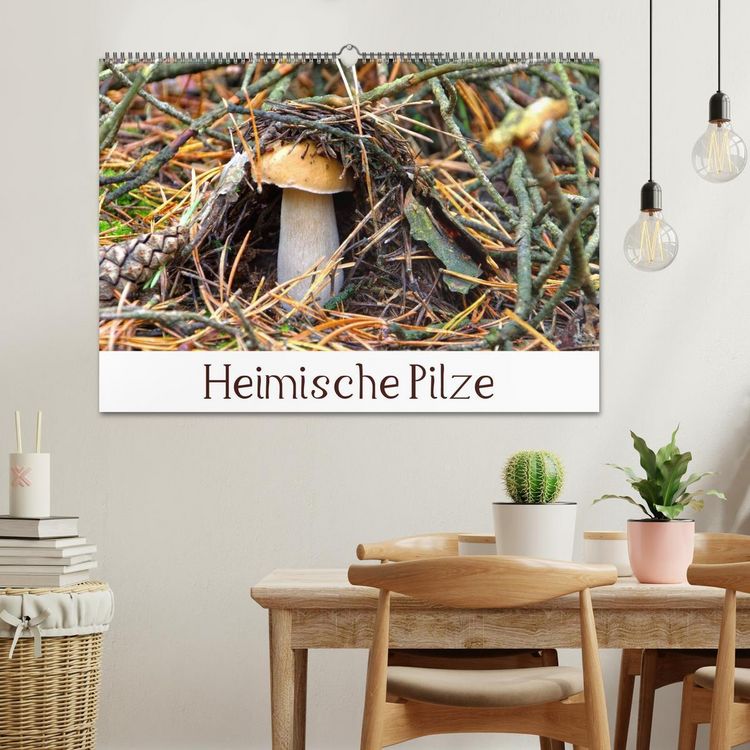 Produktbild: Heimische Pilze (Wandkalender 2026 DIN A2 quer), CALVENDO Monatskalender