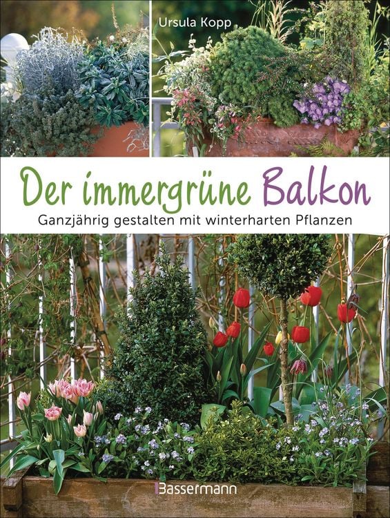 Produktbild: Der immergr&uuml;ne Balkon. Ganzj&auml;hrig gestalten mit winterharten Pflanzen