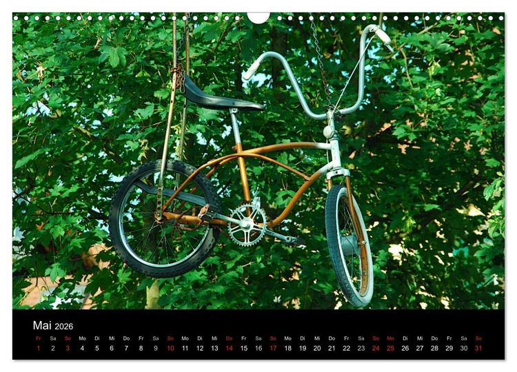 Produktbild: Mit dem Fahrrad durch 2026 (Wandkalender 2026 DIN A3 quer), CALVENDO Monatskalender