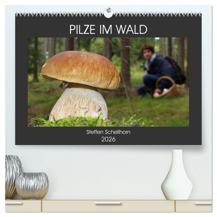 Produktbild: PILZE IM WALD (hochwertiger Premium Wandkalender 2026 DIN A2 quer), Kunstdruck in Hochglanz