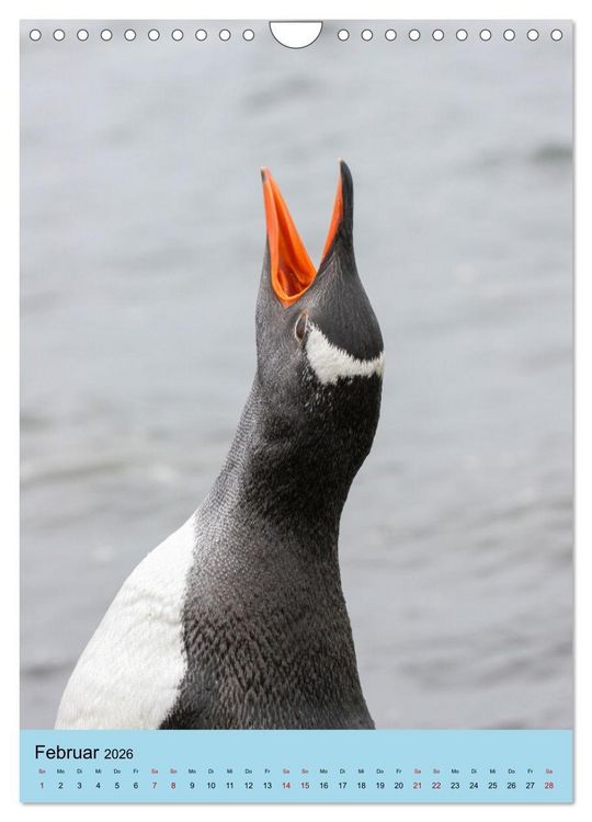 Produktbild: Antarktis - Das Gebiet der Pinguine (Wandkalender 2026 DIN A4 hoch), CALVENDO Monatskalender
