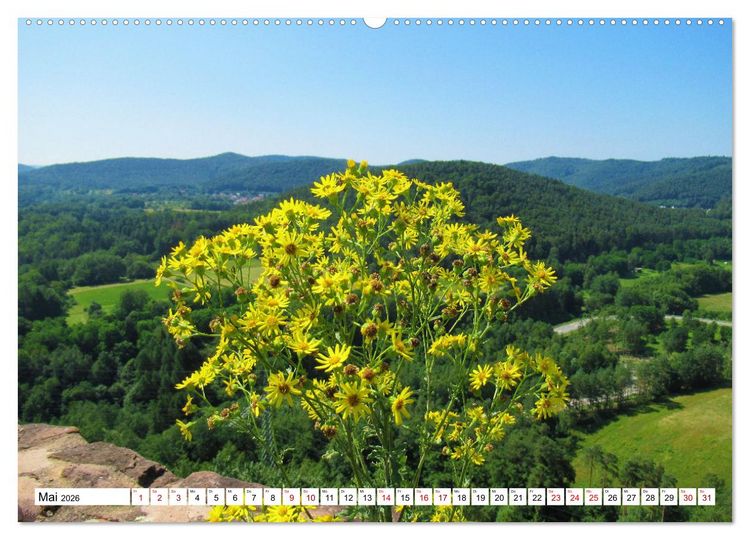 Produktbild: S&uuml;dliche Weinstra&szlig;e und S&uuml;dwestpfalz (Wandkalender 2026 DIN A2 quer), CALVENDO Monatskalender