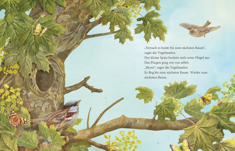 Produktbild: Ich kann's, sagte der kleine Spatz