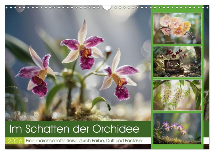 Produktbild: Im Schatten der Orchidee (Wandkalender 2026 DIN A3 quer), CALVENDO Monatskalender