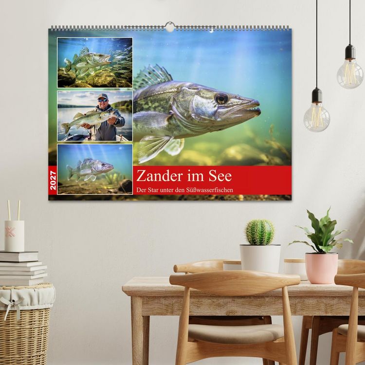 Produktbild: Zander im See (Wandkalender 2027 DIN A2 quer), CALVENDO Monatskalender