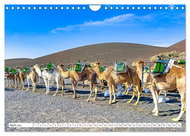Produktbild: Lanzarote - Wo die Vulkane die Landschaft formten (Wandkalender 2026 DIN A4 quer), CALVENDO Monatskalender