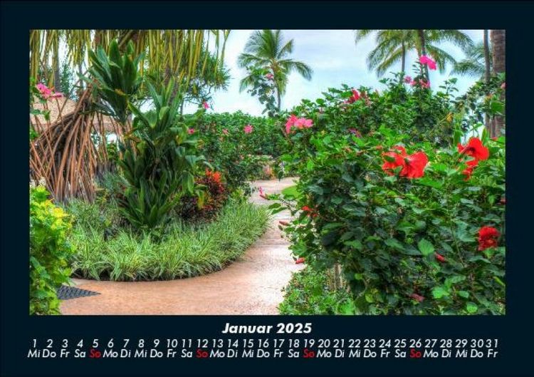 Produktbild: Blumenzauber 2025 Fotokalender DIN A5