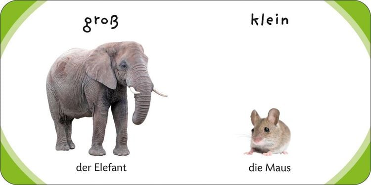 Produktbild: Duden 18+: Kennst du das? Meine kleine Lernwelt (W&uuml;rfel)