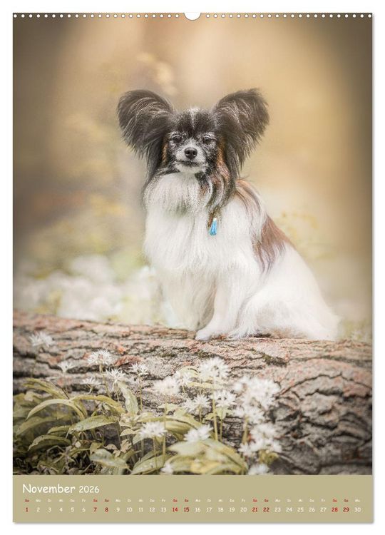 Produktbild: Flora Canidae - der Hunde-Bl&uuml;hpflanzen-Kalender (Wandkalender 2026 DIN A2 hoch), CALVENDO Monatskalender
