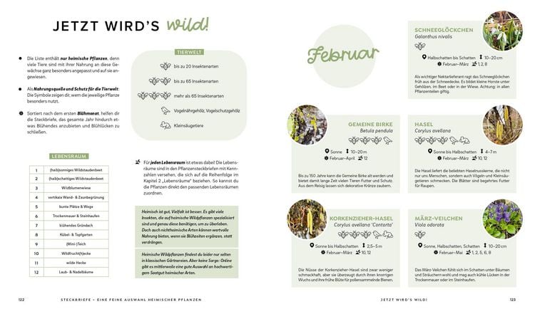 Produktbild: Mein wilder, bunter Garten &ndash;&nbsp;Einfach naturnah g&auml;rtnern