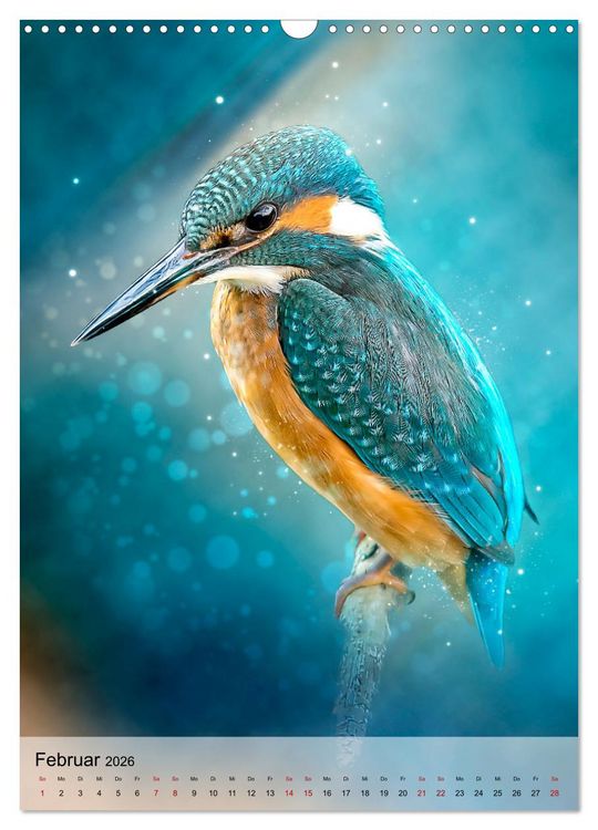 Produktbild: Schillernder Eisvogel (Wandkalender 2026 DIN A3 hoch), CALVENDO Monatskalender