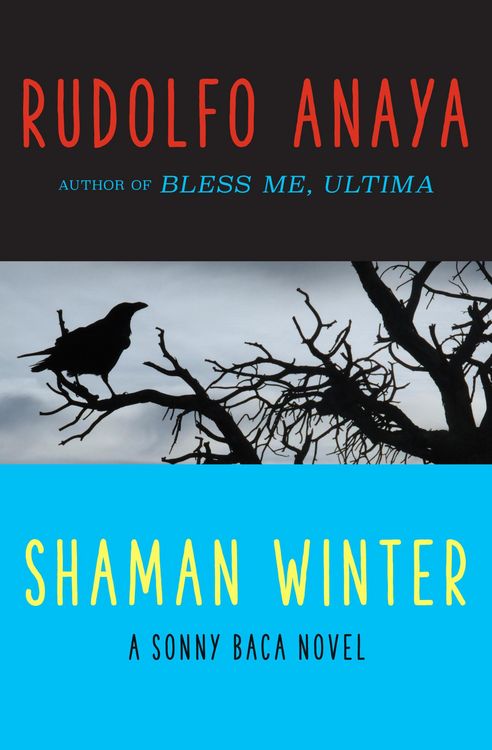 Produktbild: Shaman Winter