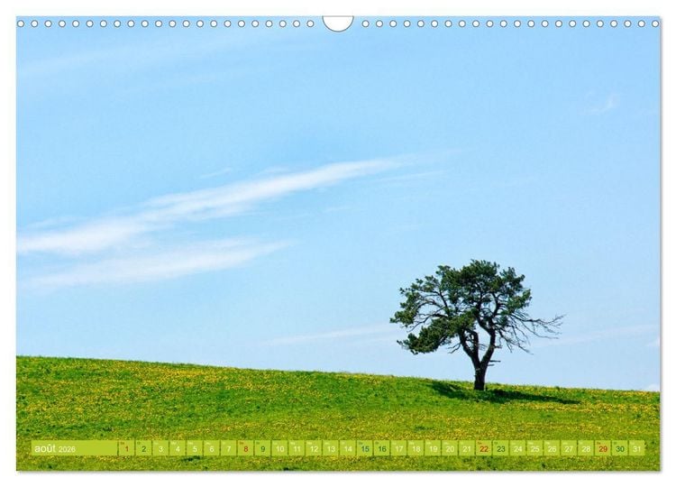 Produktbild: Solitude verdoyante (Calendrier mural 2026 DIN A3 vertical), CALVENDO calendrier mensuel