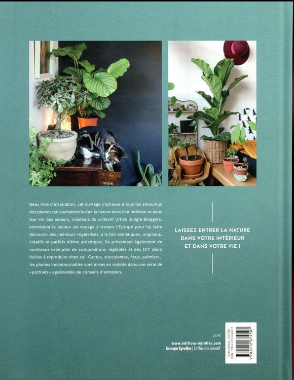 Produktbild: Urban jungle decorer avec les