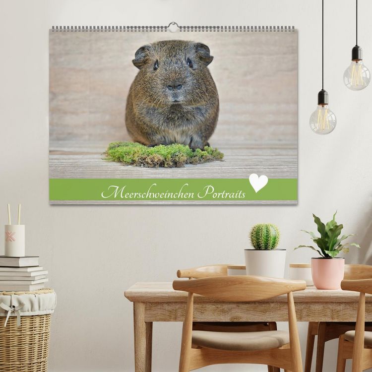 Produktbild: Meerschweinchen Portraits (Wandkalender 2026 DIN A2 quer), CALVENDO Monatskalender