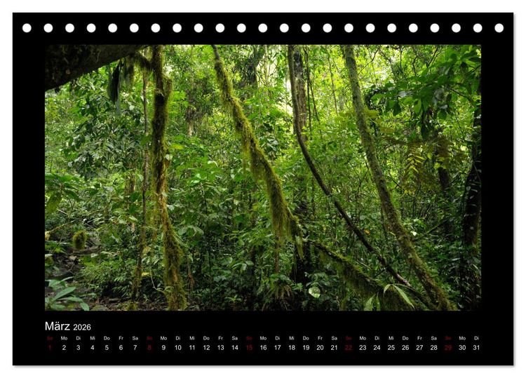 Produktbild: SUMATRA Abenteuer Regenwald (Tischkalender 2026 DIN A5 quer), CALVENDO Monatskalender