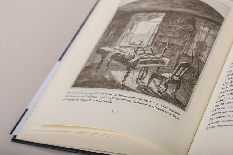 Produktbild: Die zwei Leben des Ludwig van Beethoven