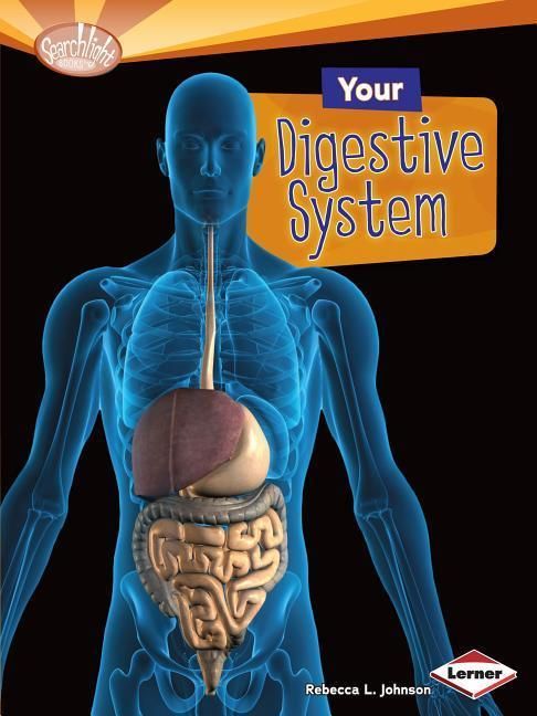 Produktbild: Your Digestive System