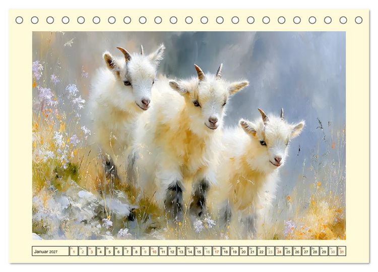 Produktbild: Zwergziegen. Kleine Wirbelwinde im Sonnenschein (Tischkalender 2027 DIN A5 quer), CALVENDO Monatskalender