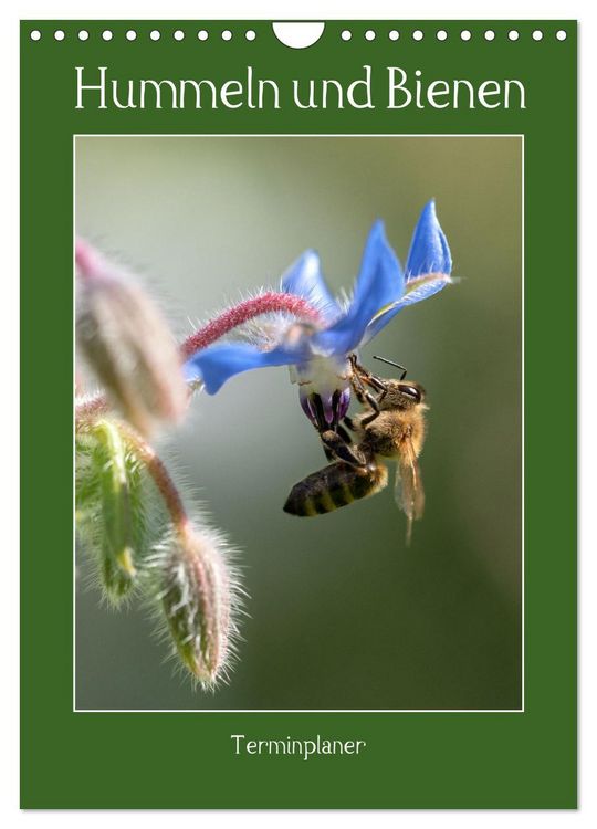 Produktbild: Hummeln und Bienen Terminplaner (Wandkalender 2026 DIN A4 hoch), CALVENDO Monatskalender