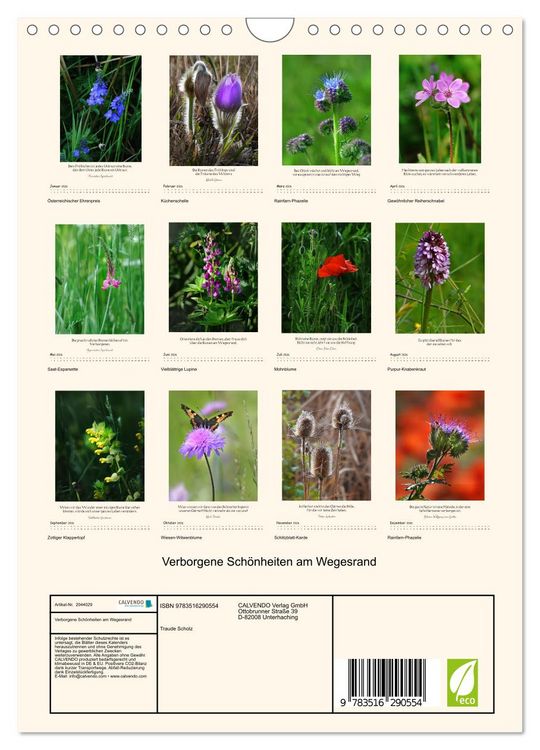 Produktbild: Verborgene Sch&ouml;nheiten am Wegesrand (Wandkalender 2026 DIN A4 hoch), CALVENDO Monatskalender