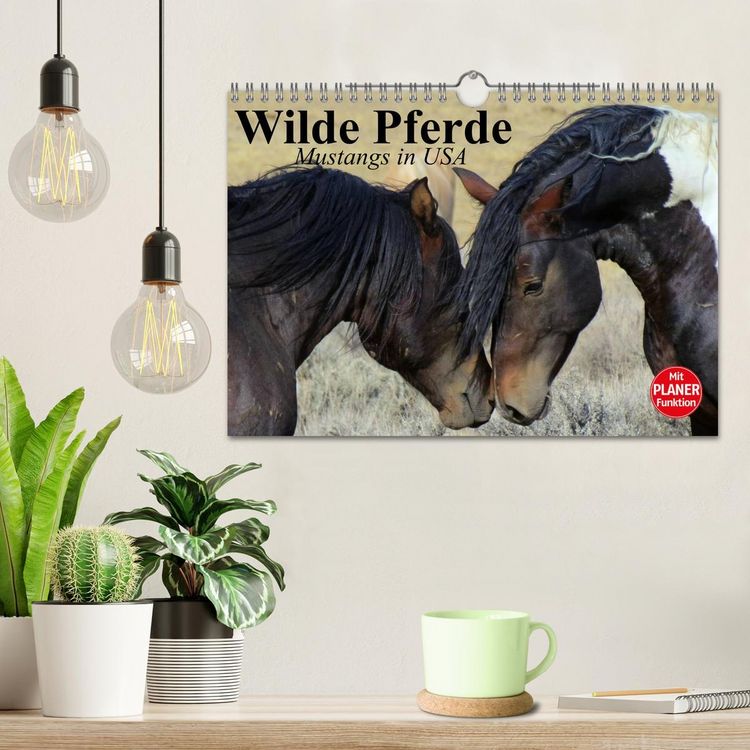 Produktbild: Wilde Pferde. Mustangs in USA (Wandkalender 2026 DIN A4 quer), CALVENDO Monatskalender