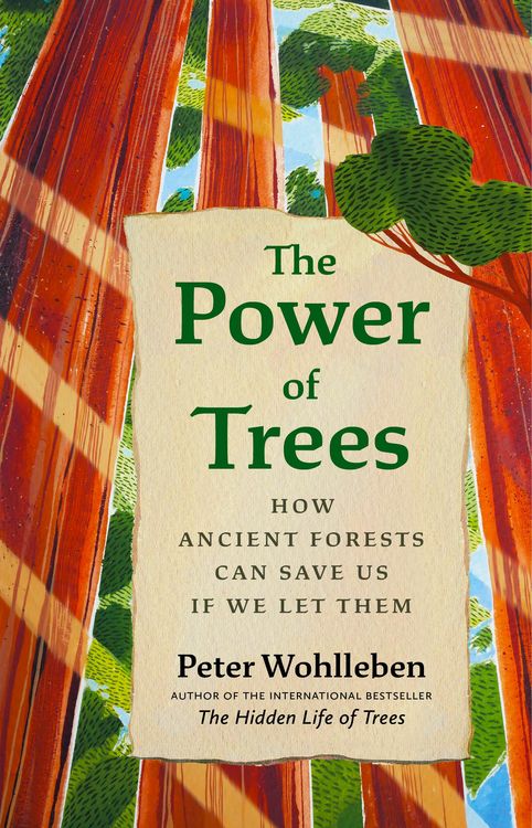 Produktbild: The Power of Trees