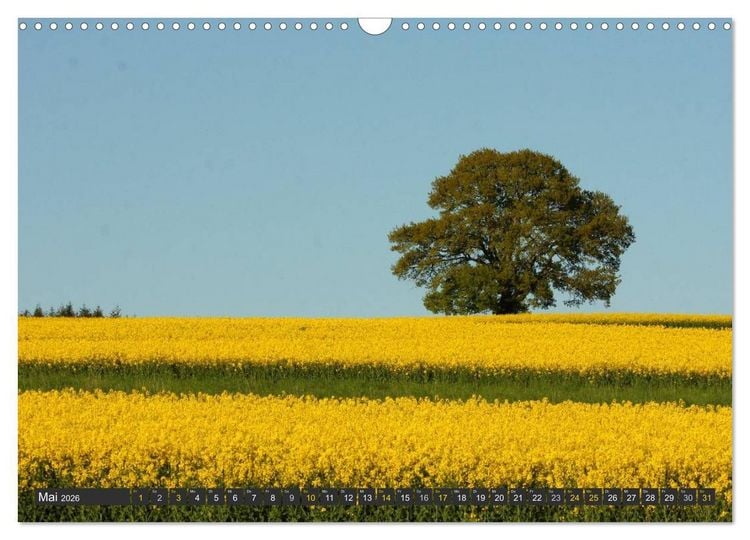 Produktbild: Unterwegs im Hunsr&uuml;ck (Wandkalender 2026 DIN A3 quer), CALVENDO Monatskalender