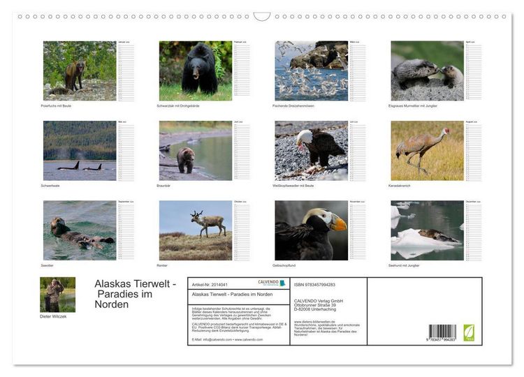 Produktbild: Alaskas Tierwelt - Paradies im Norden (Wandkalender 2026 DIN A2 quer), CALVENDO Monatskalender