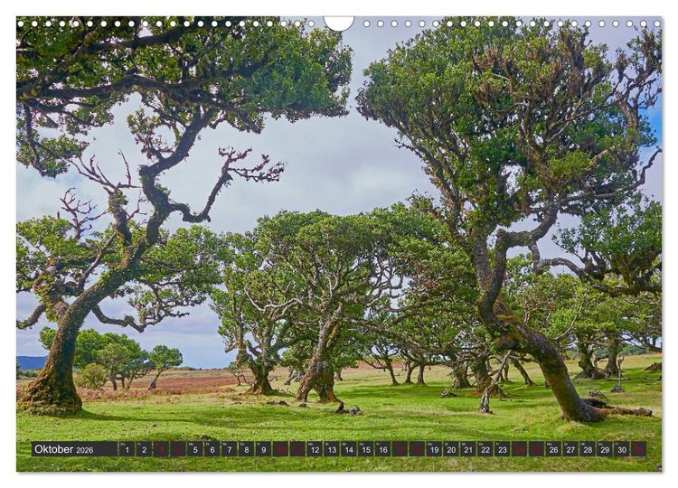 Produktbild: Madeira - Juwel im Atlantik (Wandkalender 2026 DIN A3 quer), CALVENDO Monatskalender