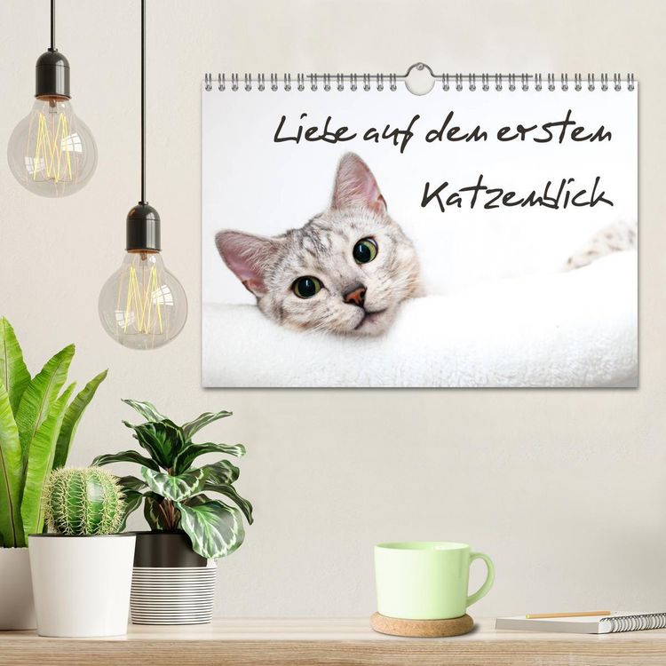 Produktbild: Liebe auf den ersten Katzenblick (Wandkalender 2026 DIN A4 quer), CALVENDO Monatskalender