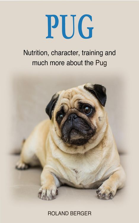 Produktbild: Pug