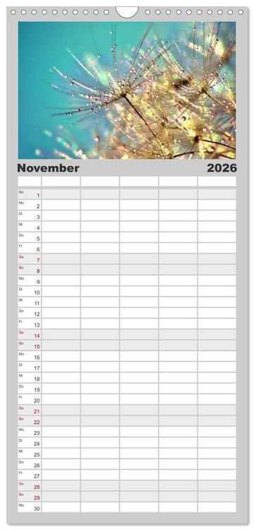 Produktbild: Familienplaner 2026 - Naturjuwel Pusteblume mit 5 Spalten (Wandkalender, 21 x 45 cm) CALVENDO