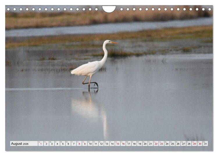 Produktbild: Hochwasser als Teil der Umwelt (Wandkalender 2026 DIN A4 quer), CALVENDO Monatskalender