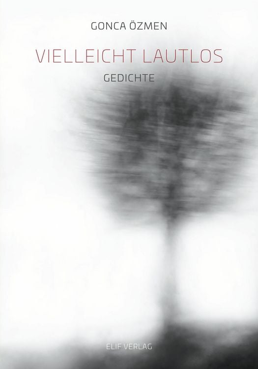 Produktbild: Vielleicht Lautlos