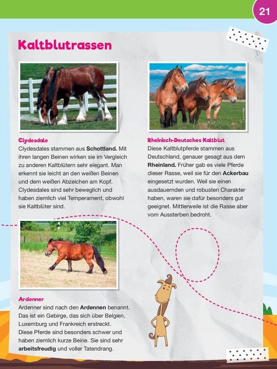 Produktbild: Leselauscher Wissen: Pferde und Ponys