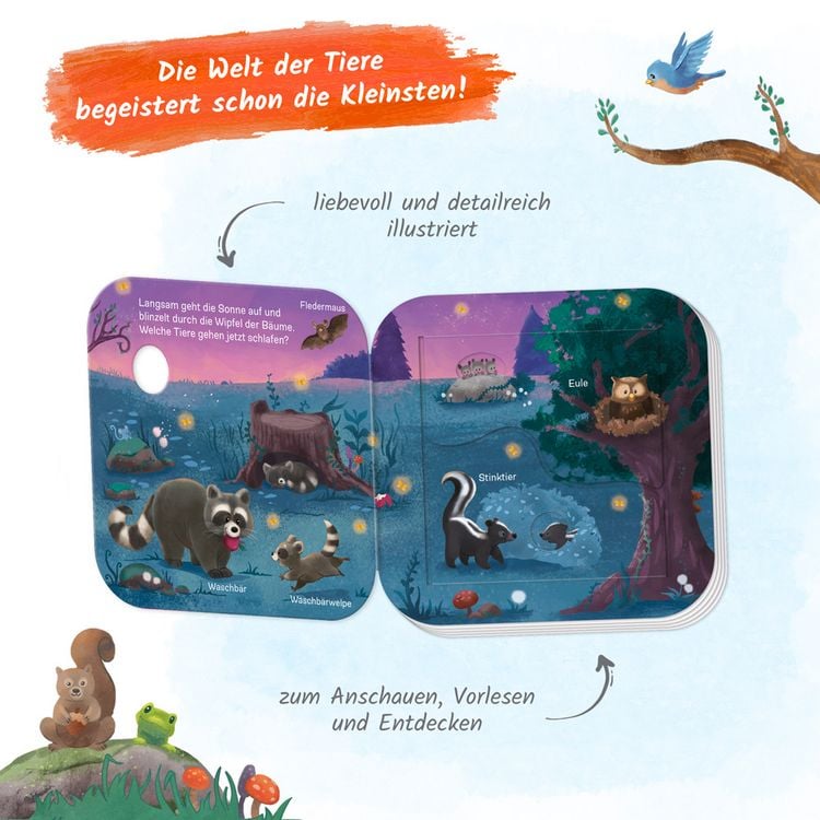 Produktbild: Tr&ouml;tsch Pappenbuch mit Klappen Mein erstes Klappenbuch Tiere im Wald Wer lebt wo?
